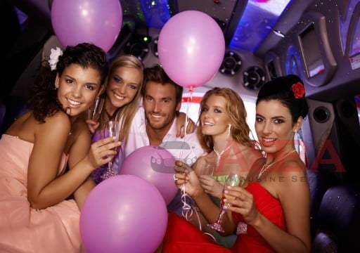 Houston TX Affordable Party Bus rentals